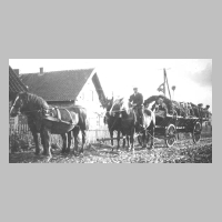 080-0064 Vierspaenner mit Erntewagen von Bauer Lohrenz.jpg